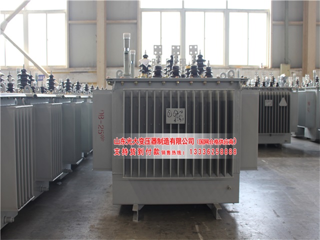 广西S22-4000KVA油浸式变压器